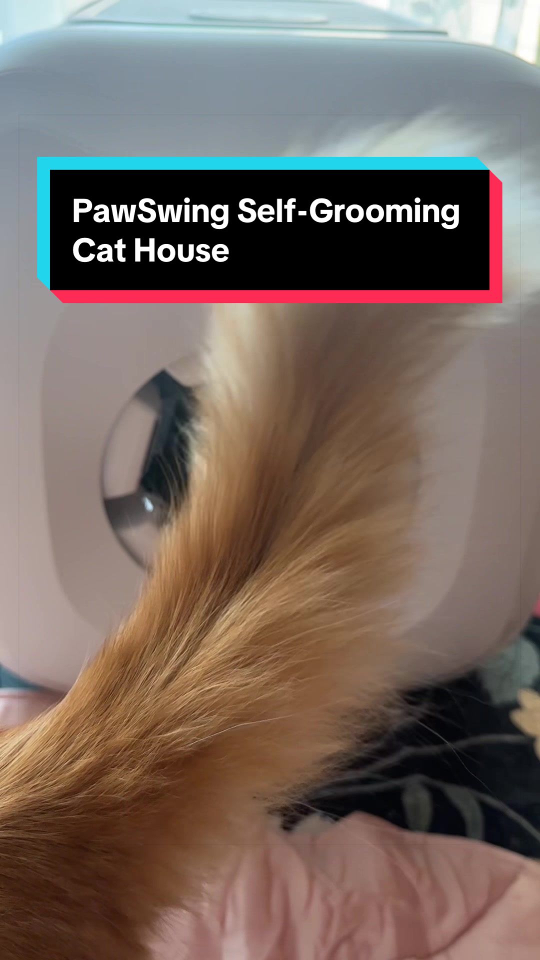 @meloncreamcat