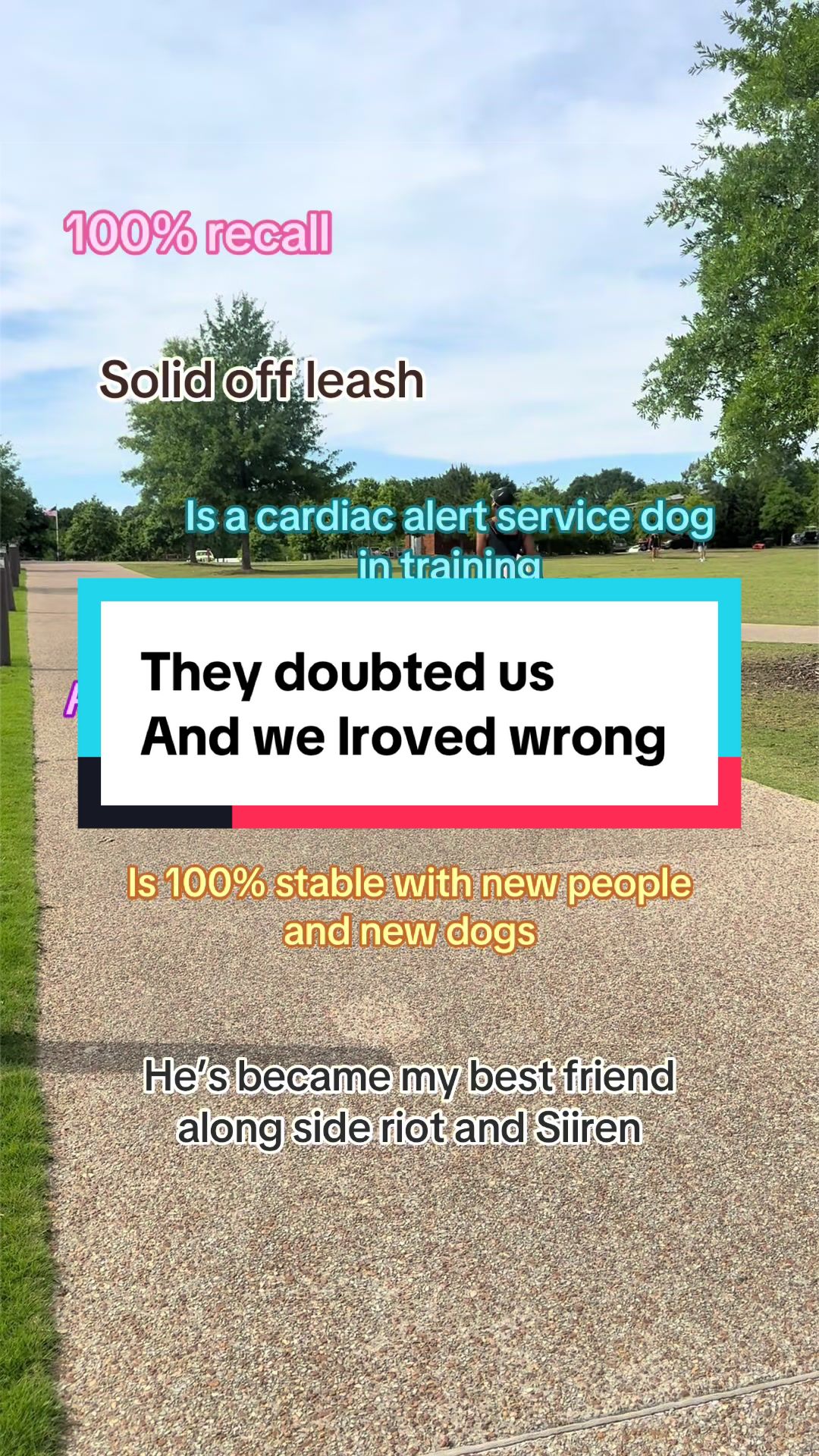 @CRZK9 Dog Training