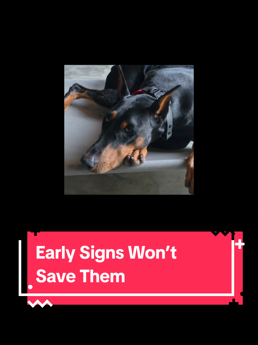 @Dobergoats Cash & Kaia