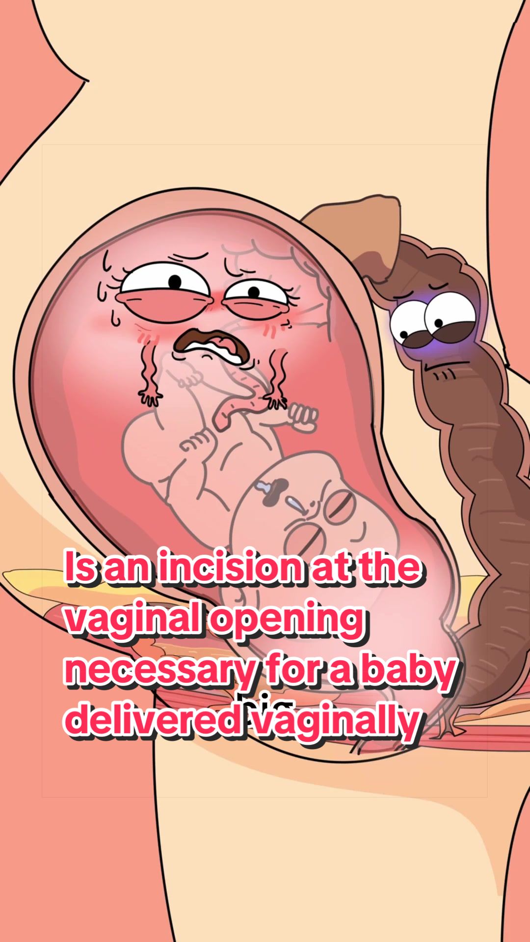 @Funny Animations