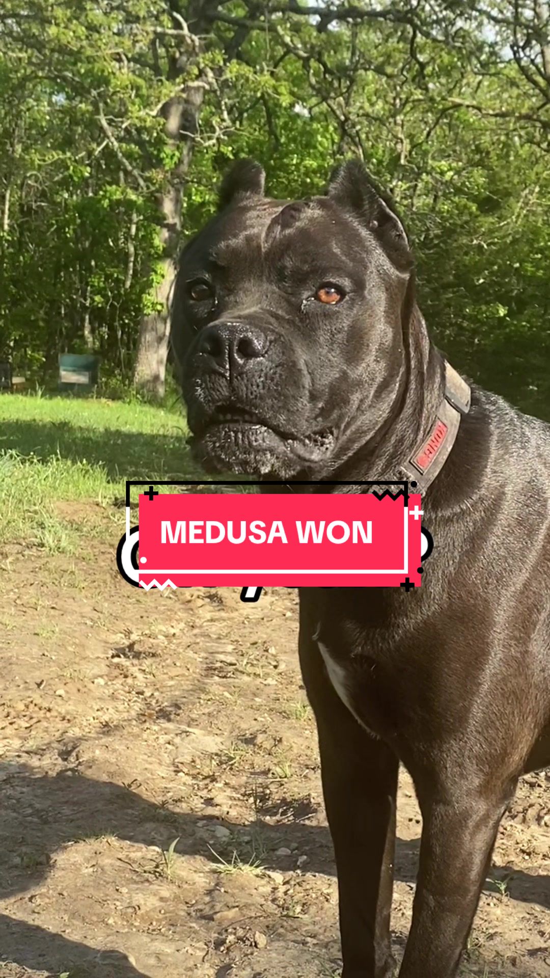 @Medusa
