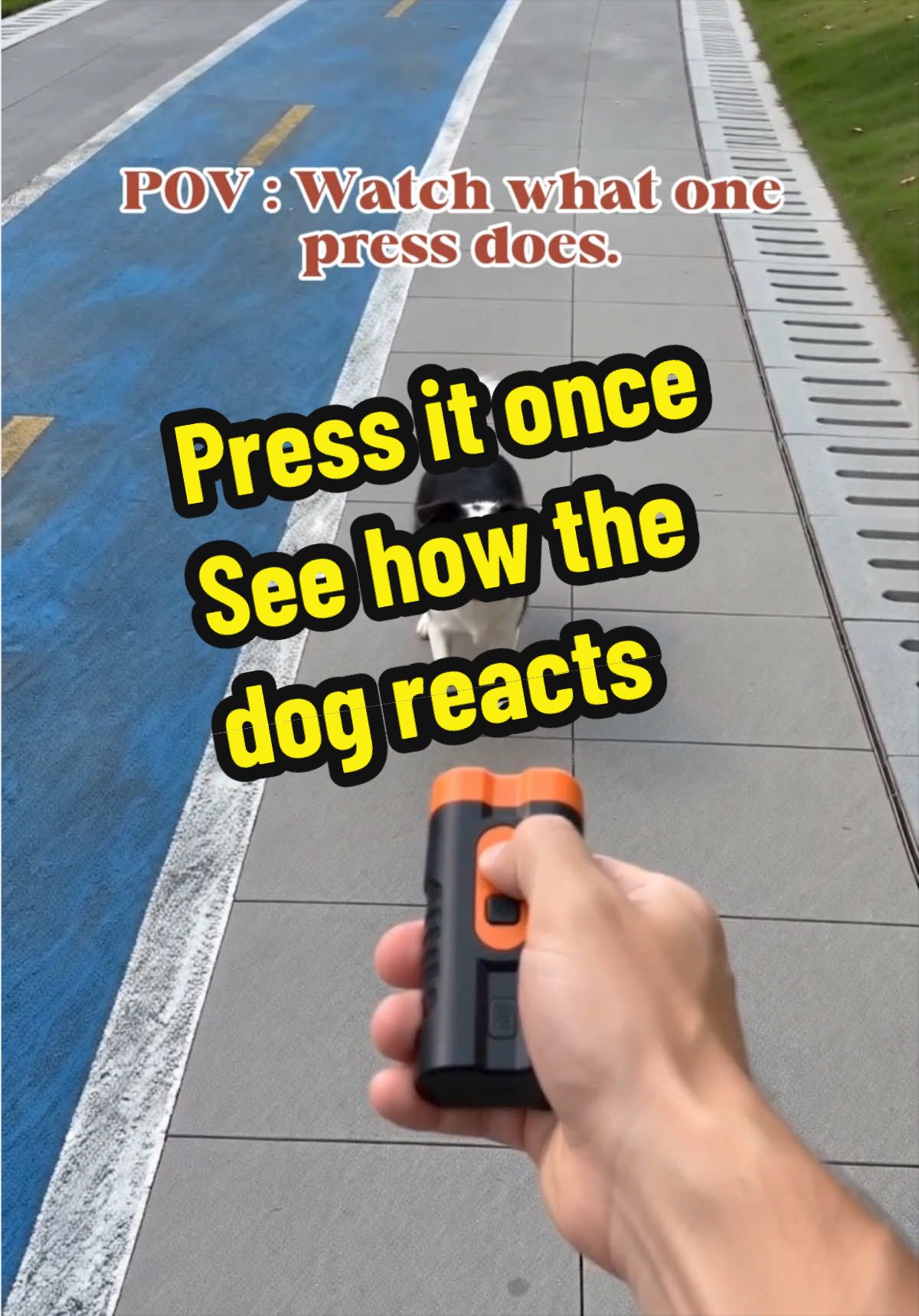 @pawpawchum