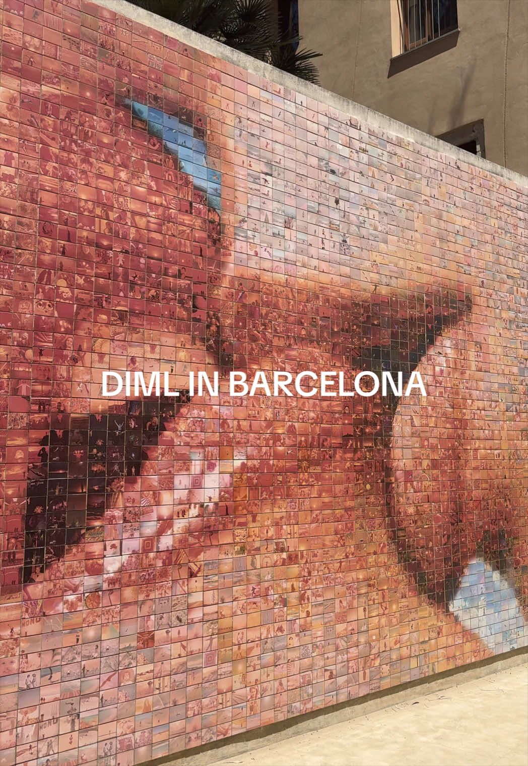 @dina