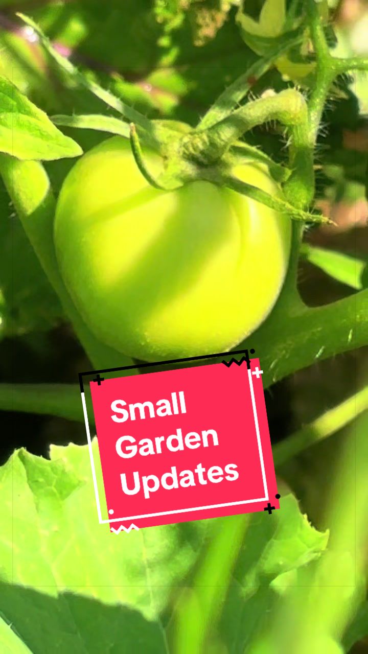 @greengirlgardens