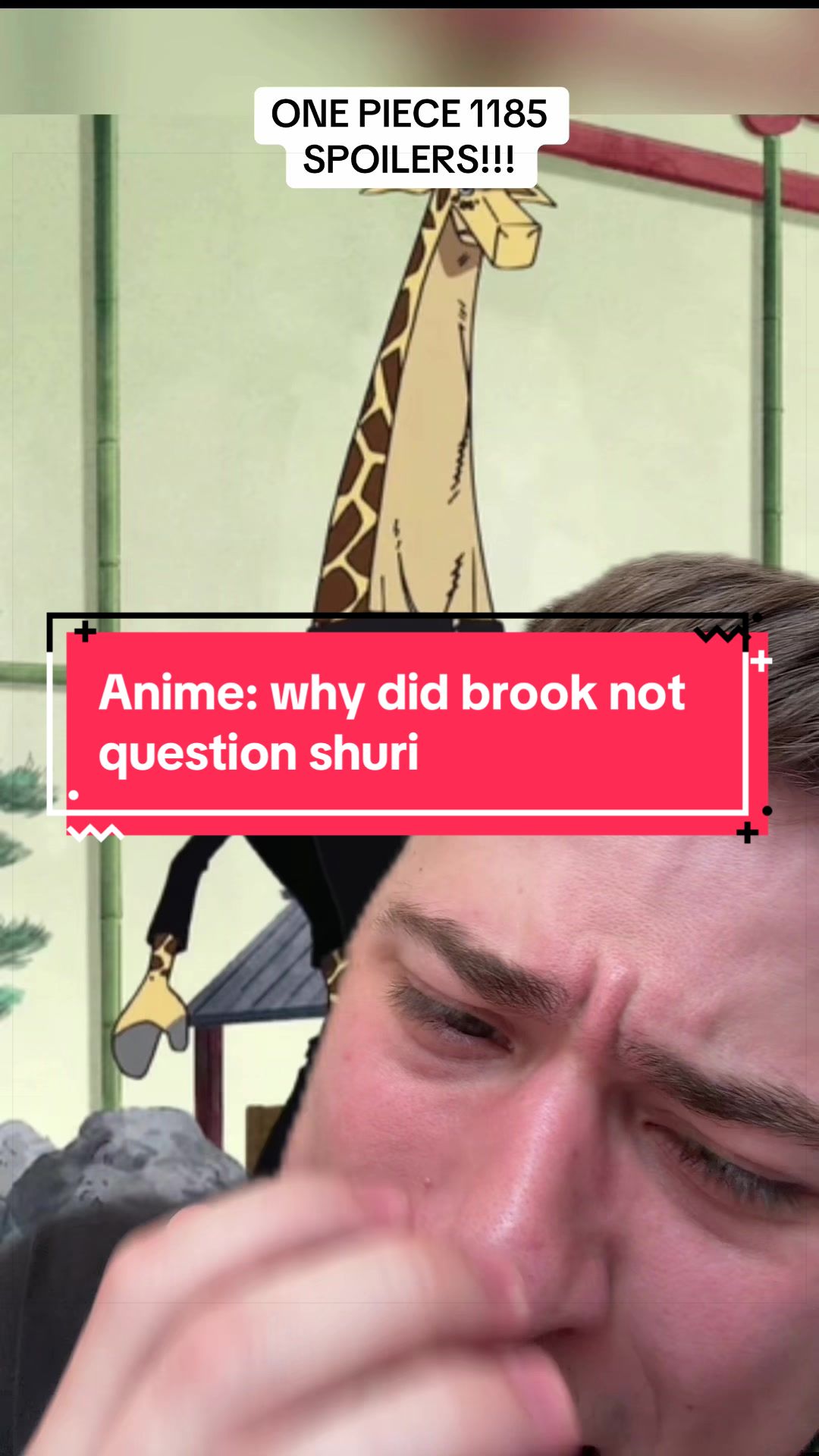 @Thenerdking