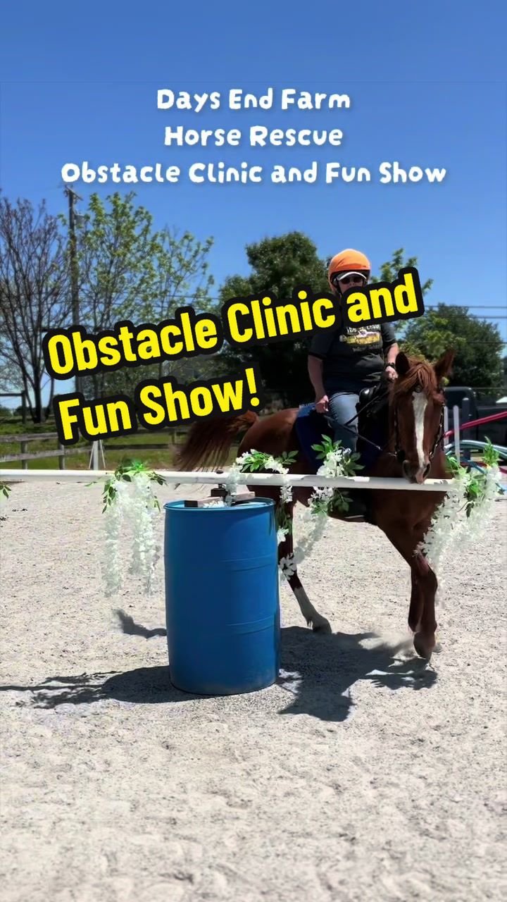 @Days End Farm Horse Rescue