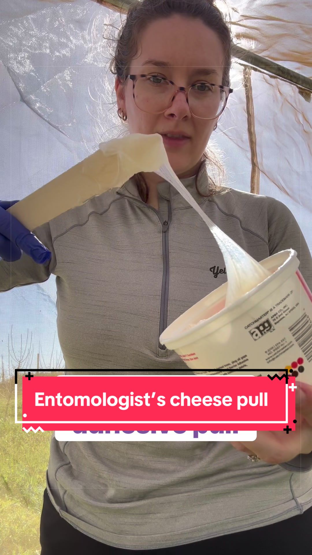@Entomology Abby