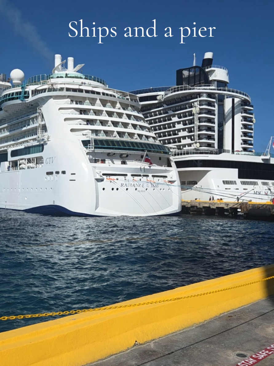@Whit the Cruise Queen⚓️