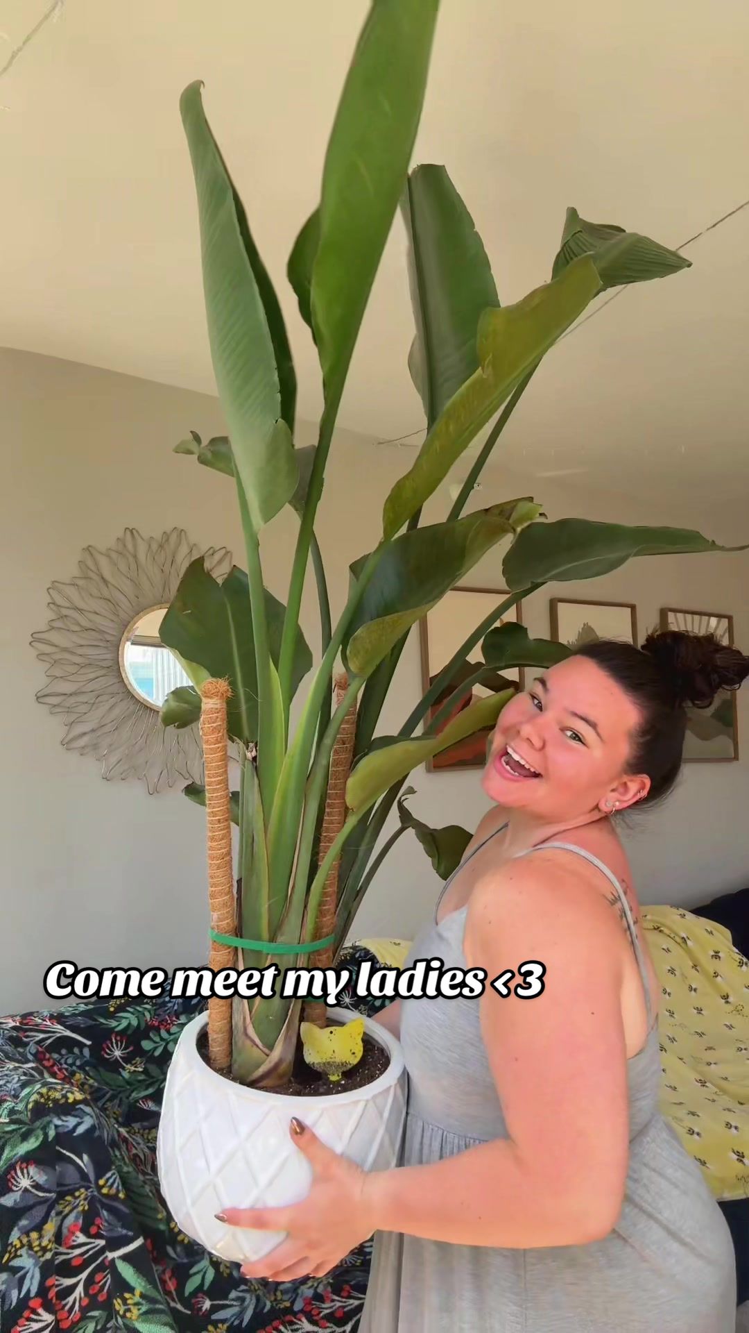 @Plant Girly 🪴