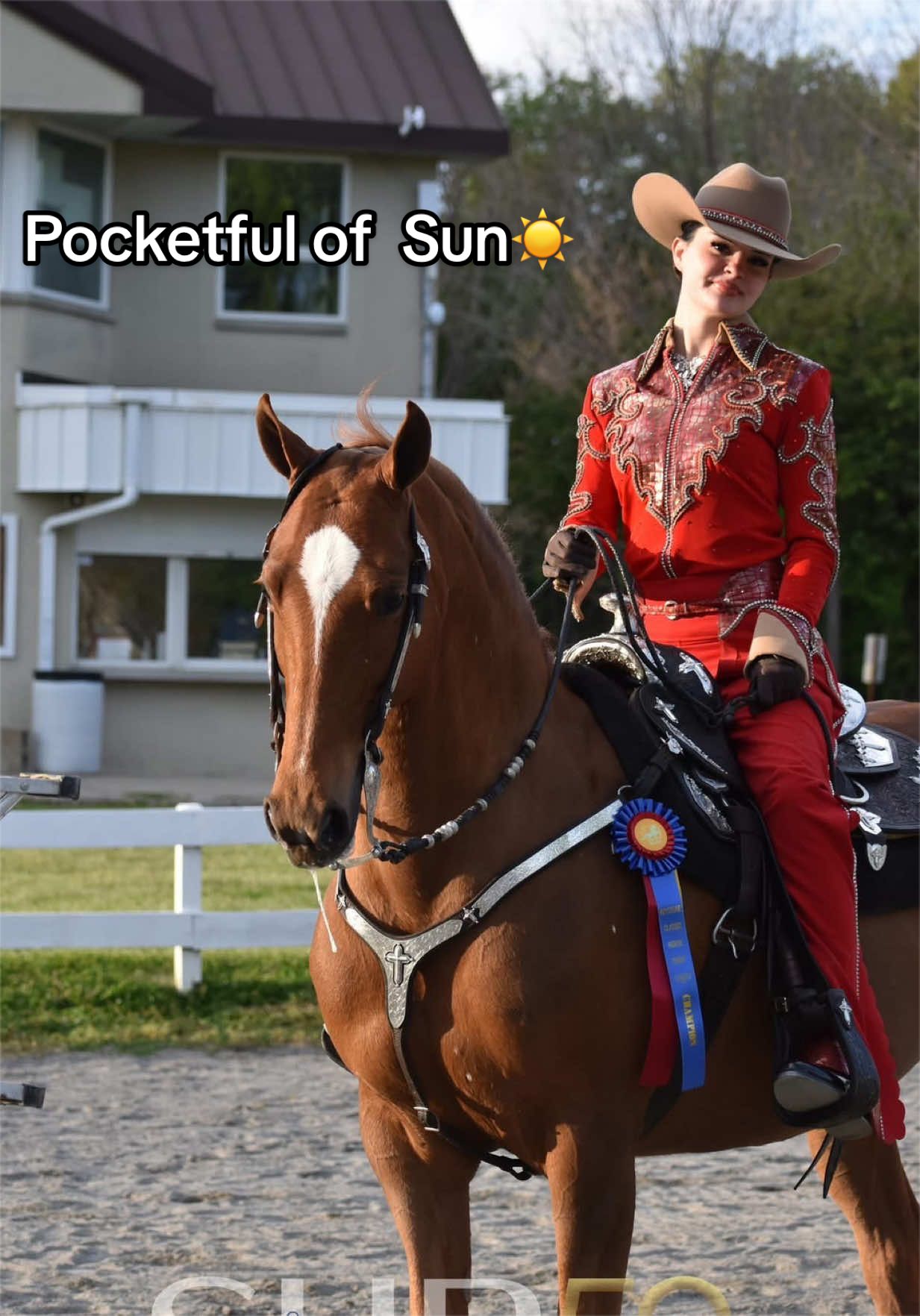 @Seraphim Stables