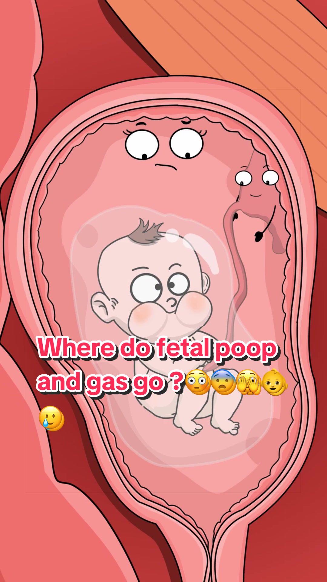 @Funny Animations