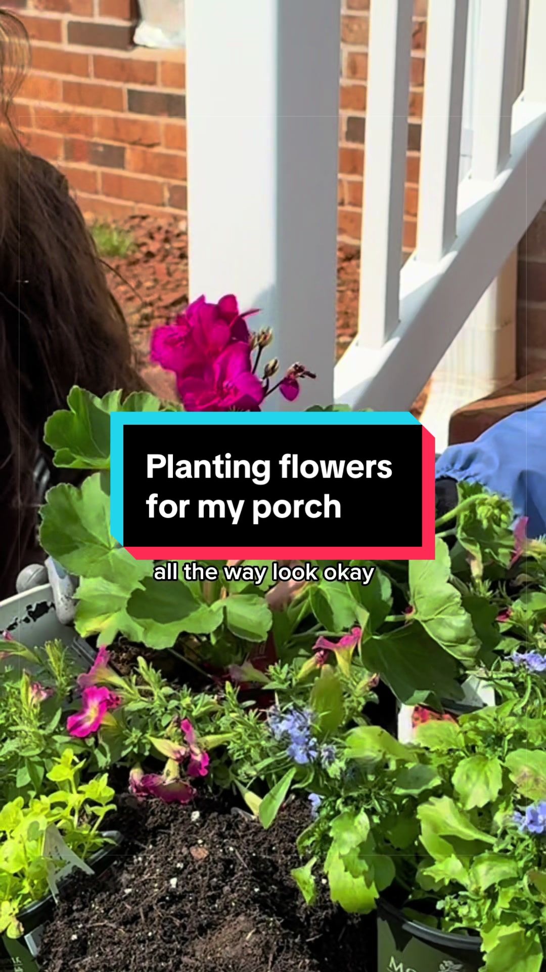 @Kylie | Garden & DIY👩🌾