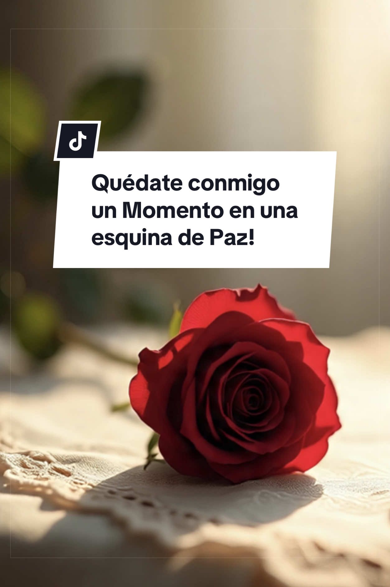 @Mimi🌹