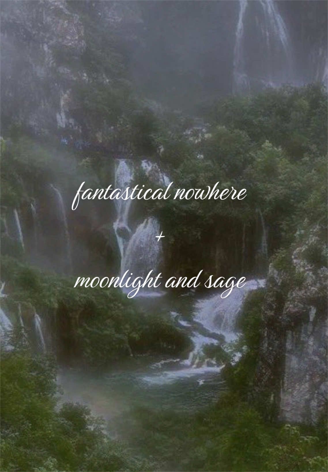 @☽ ⋆˖⁺‧₊ moonvenefica ₊‧⁺˖⋆ ☾