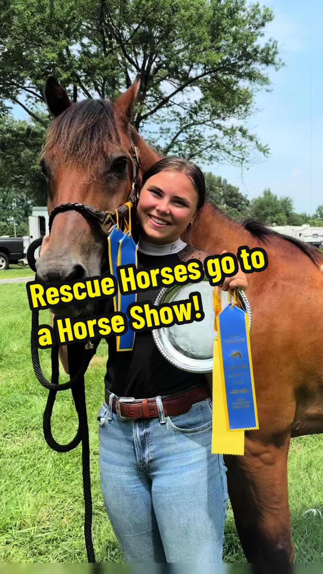 @Days End Farm Horse Rescue