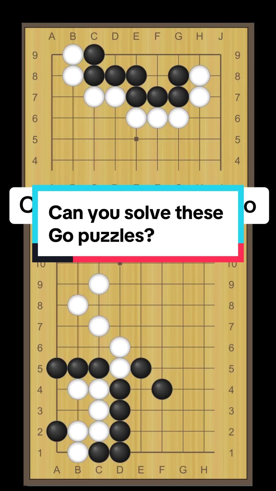 @Brian&rsquo;s School of Go