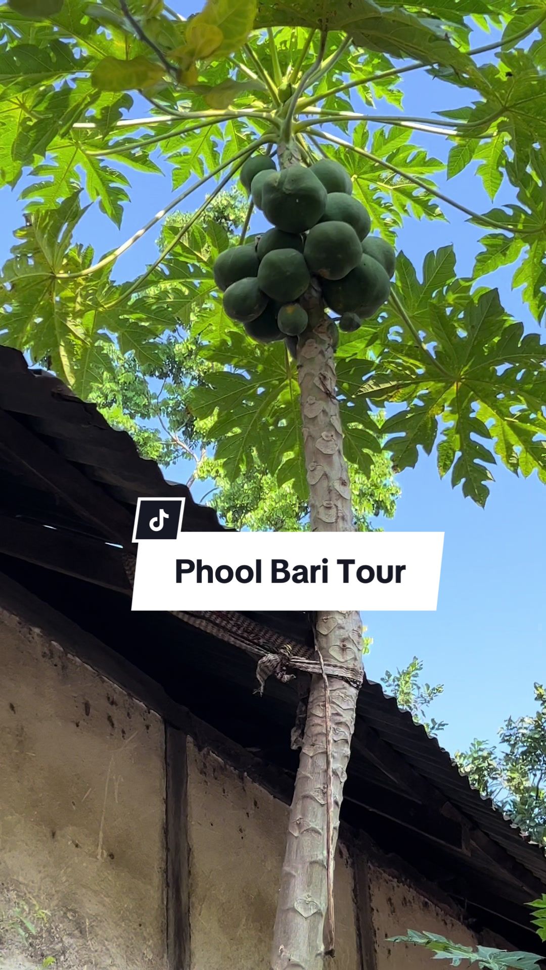 @lobonlife