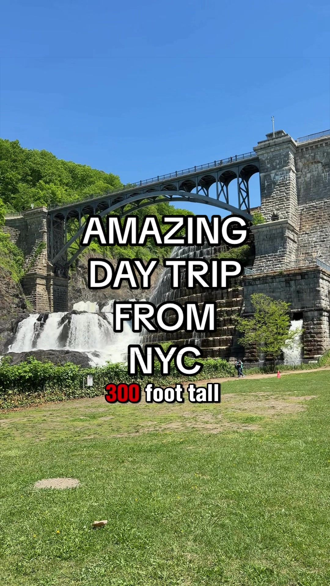 @jeffreyinnyc