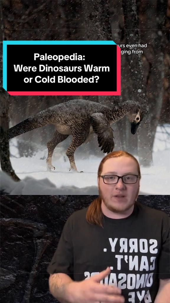 @Paleopedia