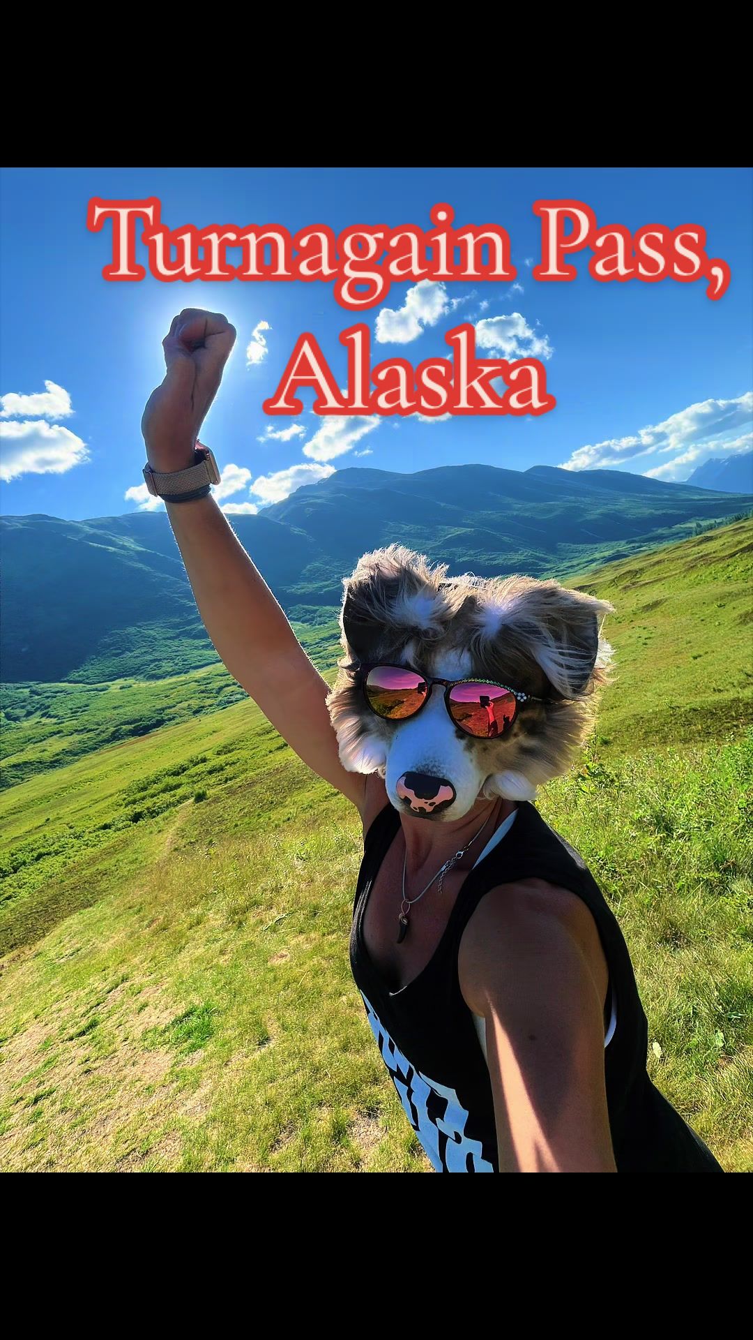 @Kodiak