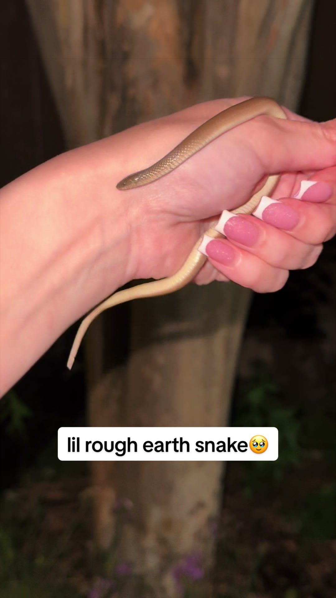 @courtneyscoldbloods