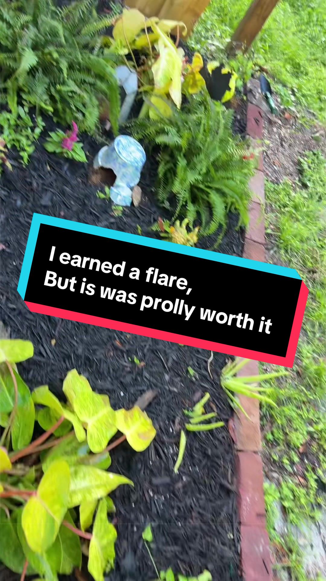 @Lizzzzzzzzzard🦎