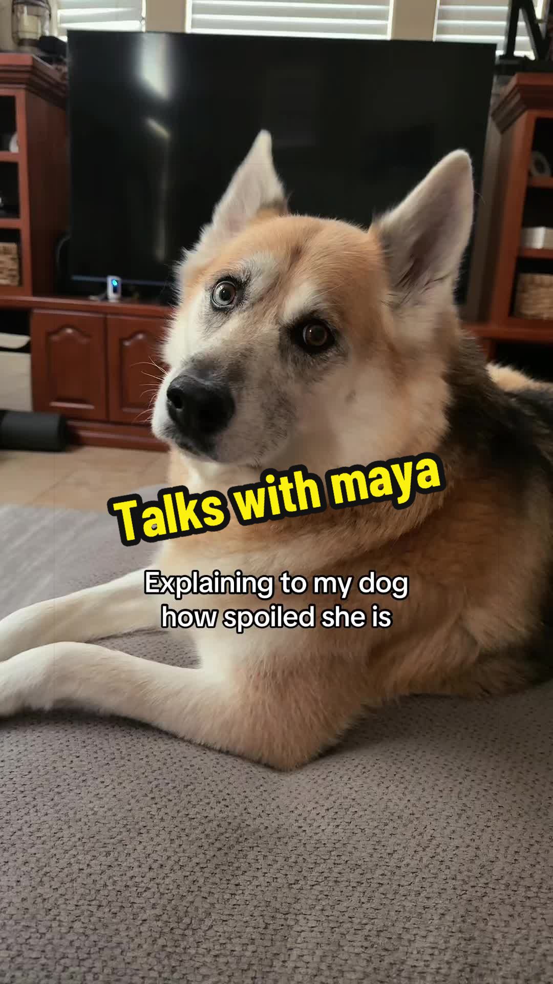 @Savvysolutions