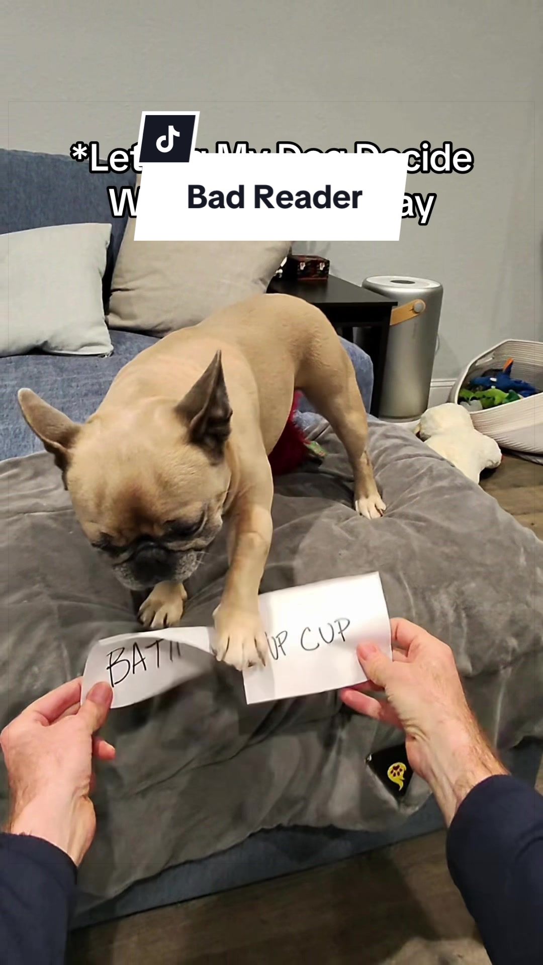 @Somefrenchienamedapollo