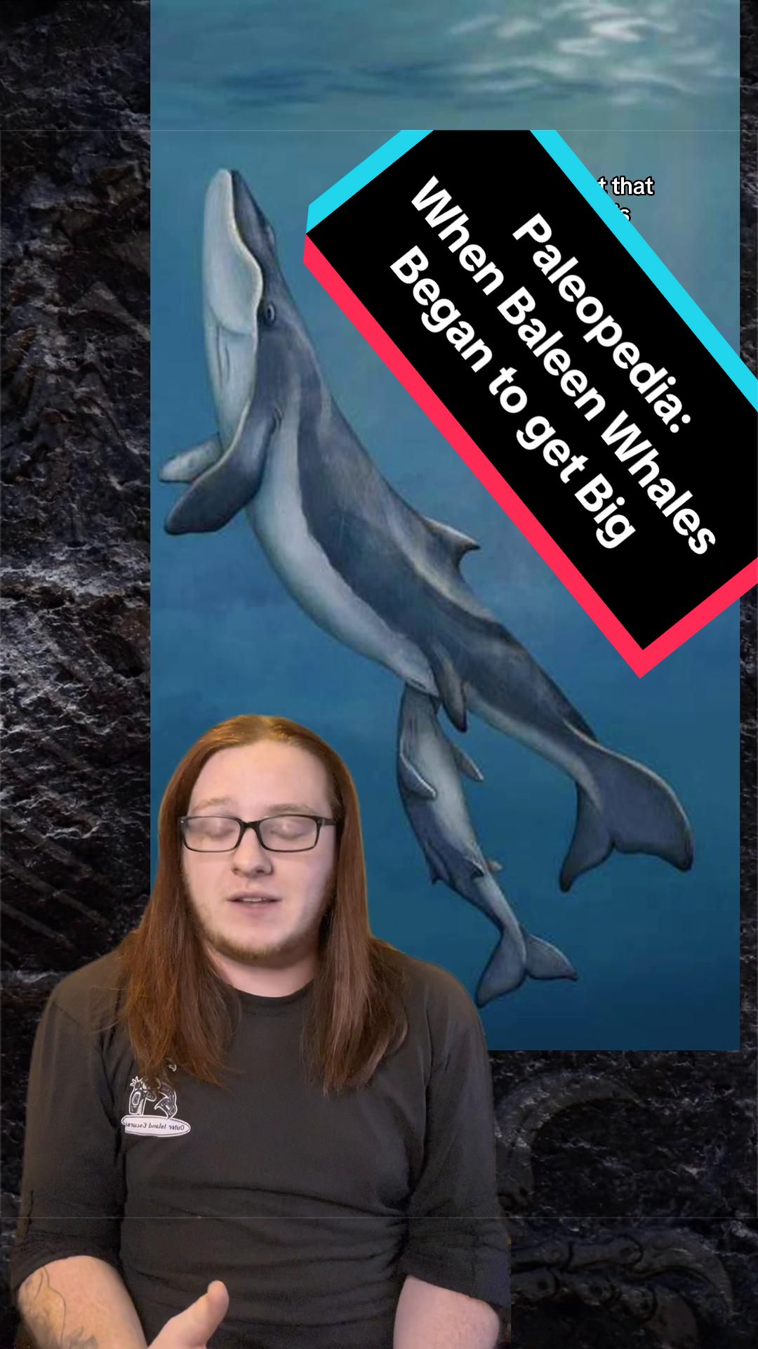 @Paleopedia