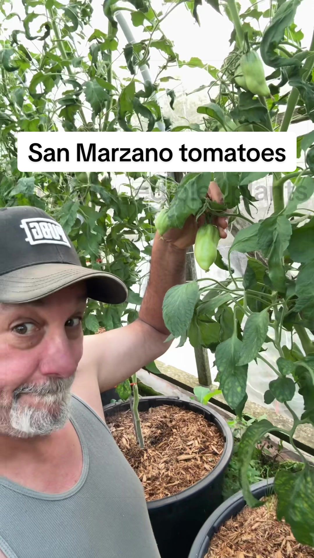 @GROWING_EDIBLE_PLANTS