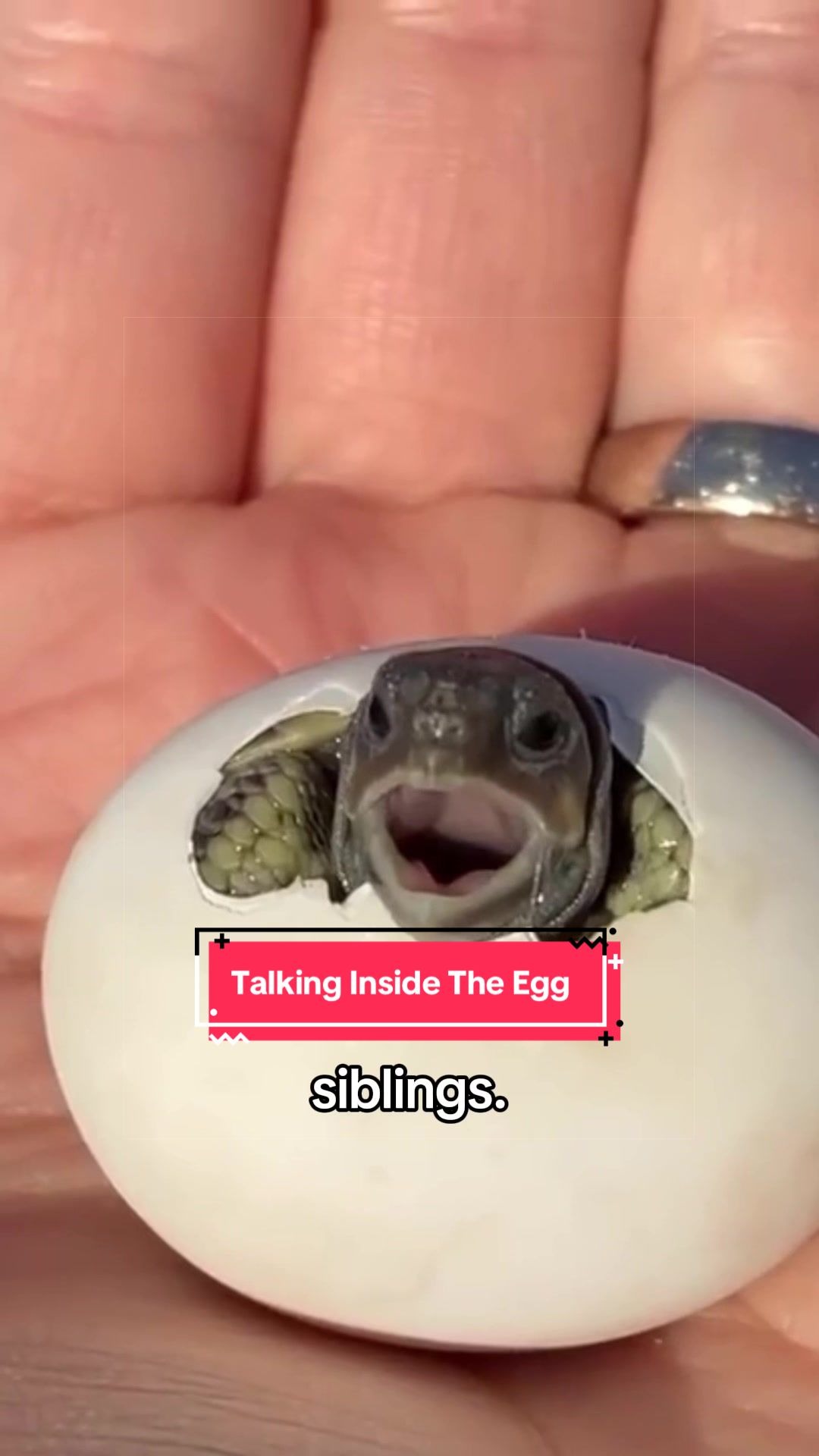 @Snugbarn