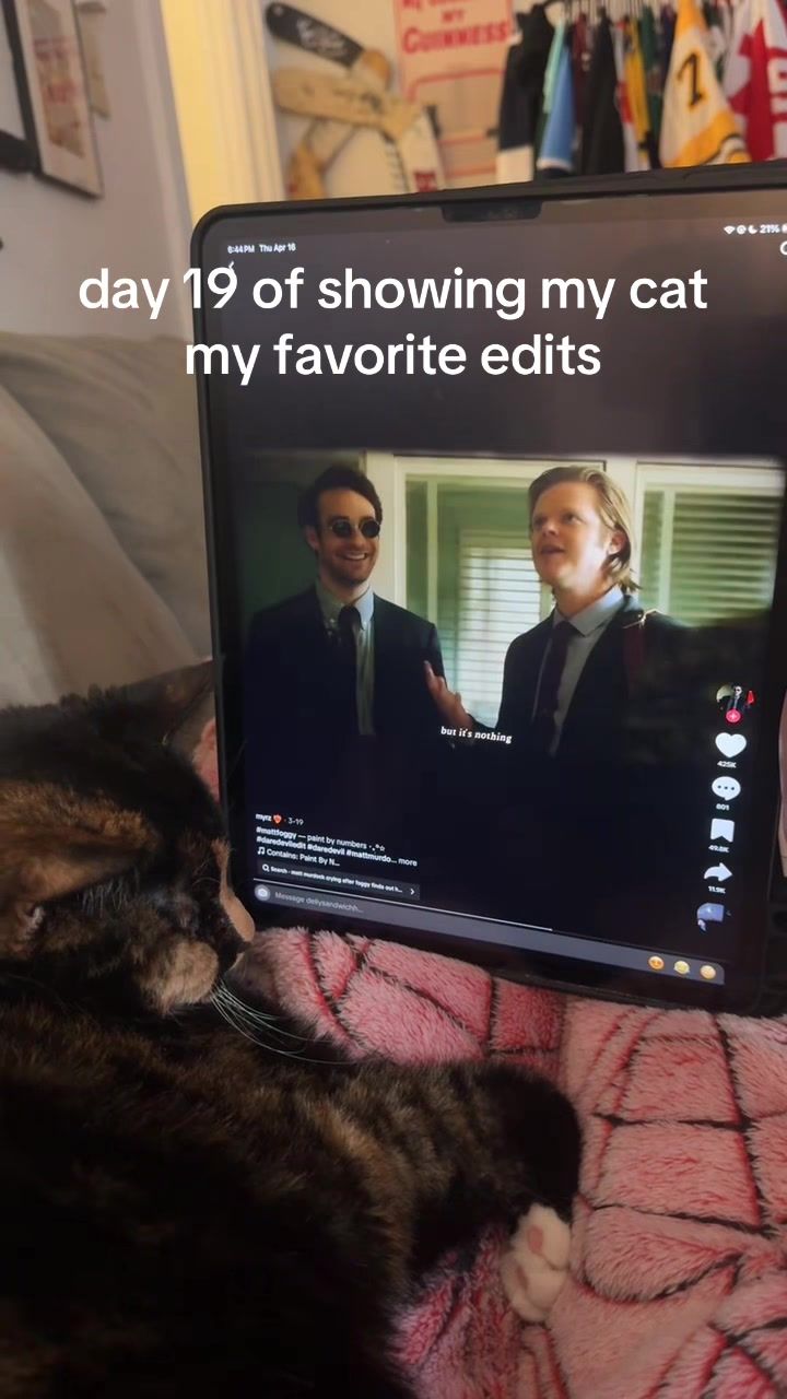 @dellysandwichh