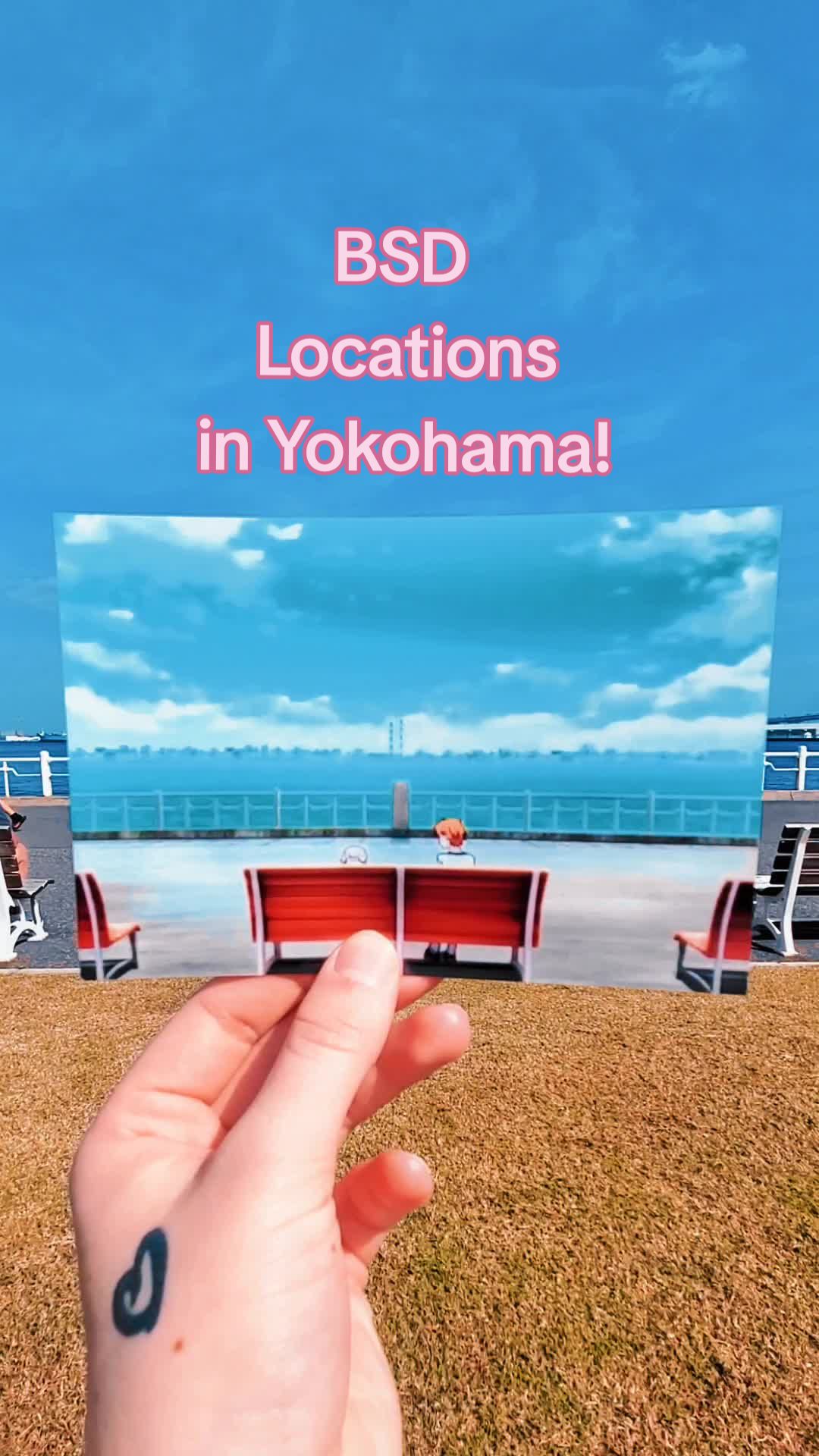 @lena is here 🛩 travel advisor