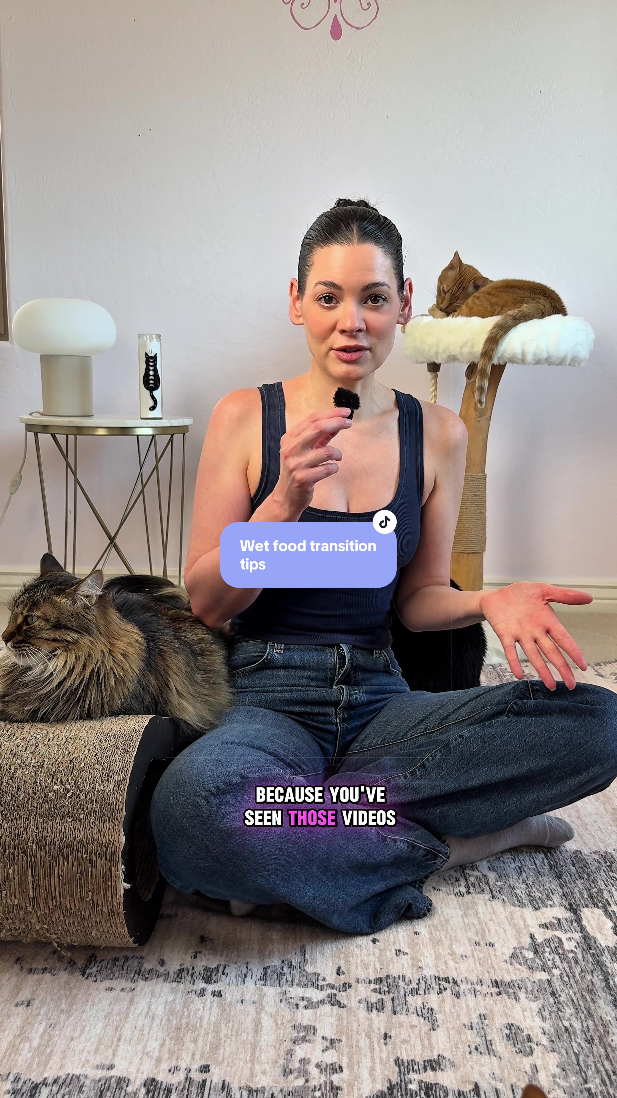 @Feminist Kitty | Cat Nutrition