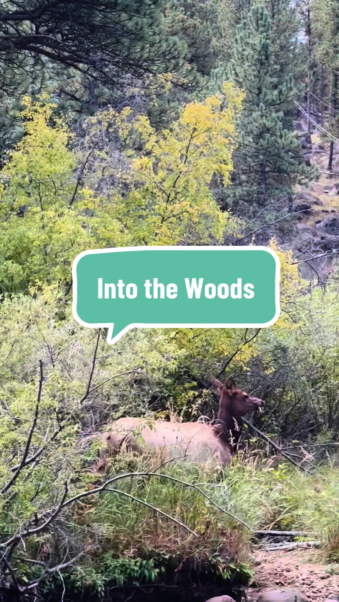 @Colorful Colorado