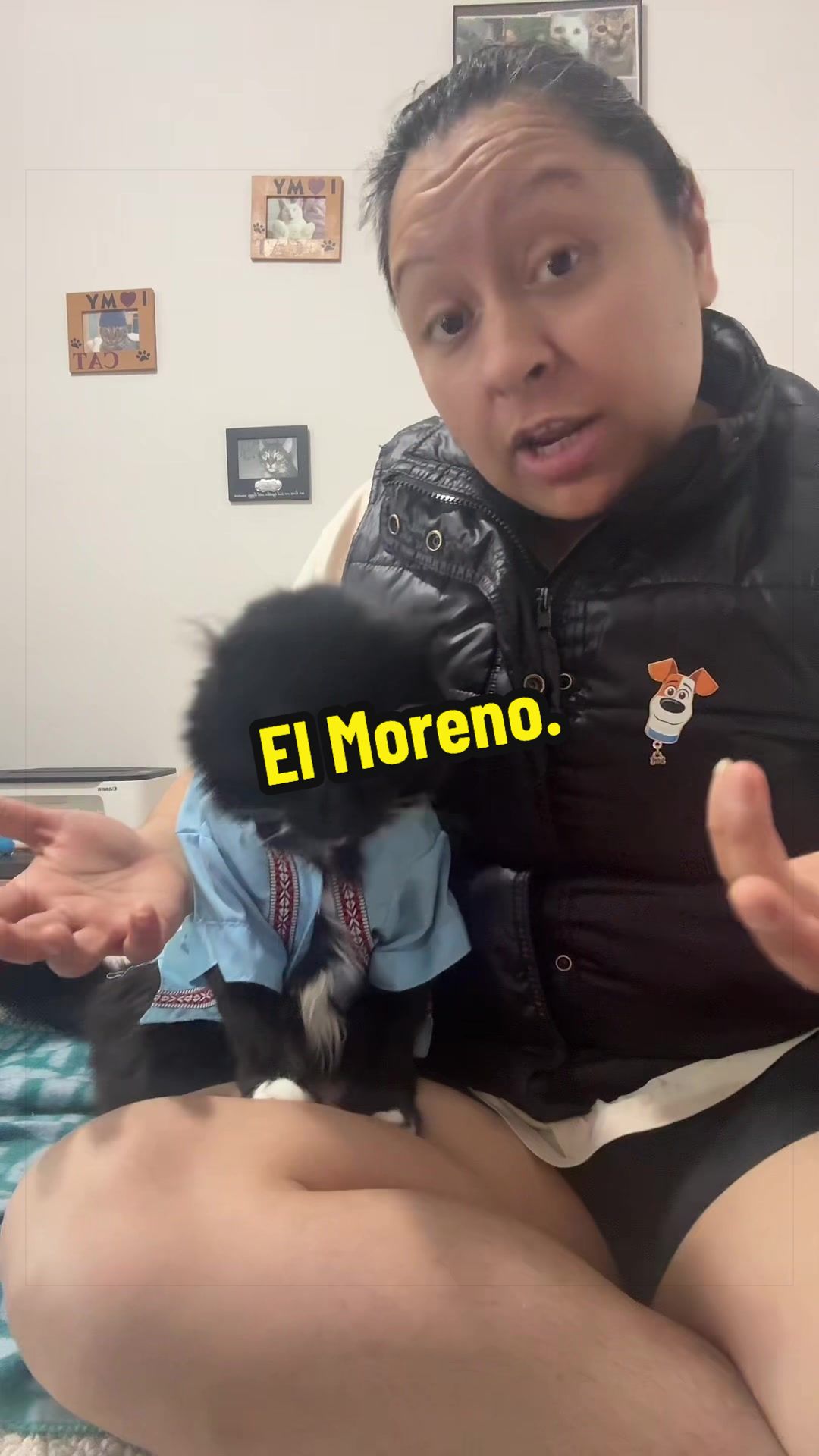 @🦖 MEOWassic CAT😺