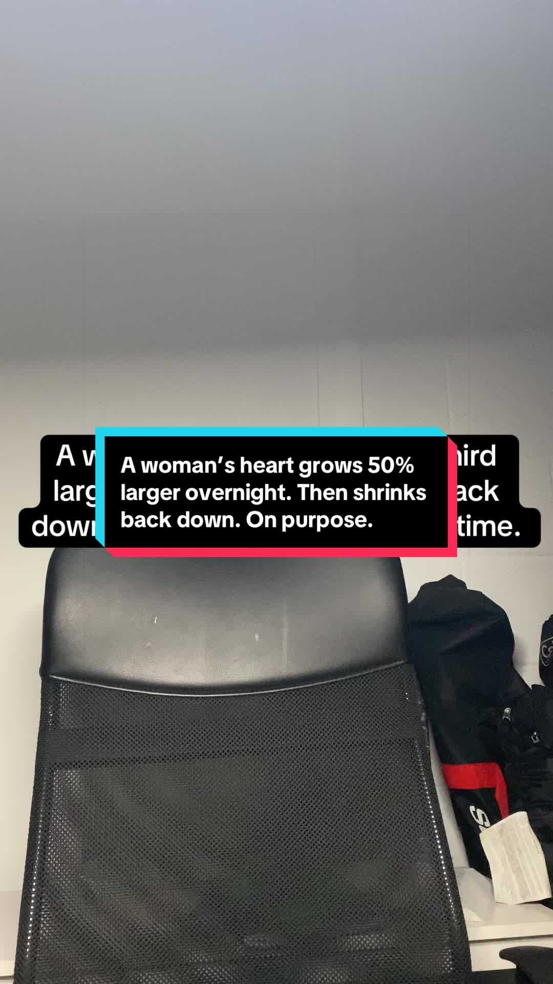 @OfficialAmos