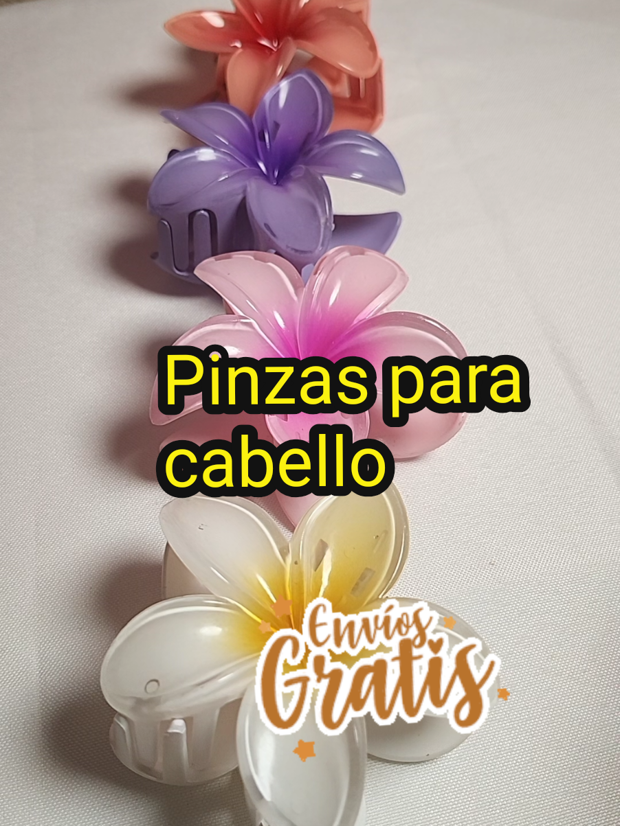 @Evelyn Lorenzo