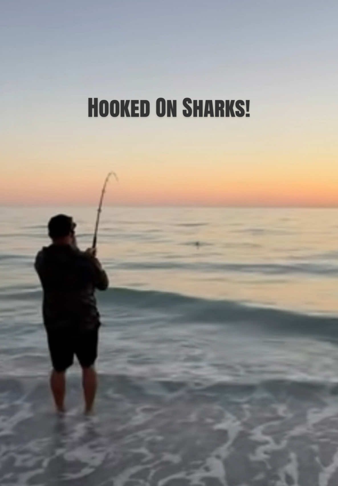 @HookedOnSharksLLC