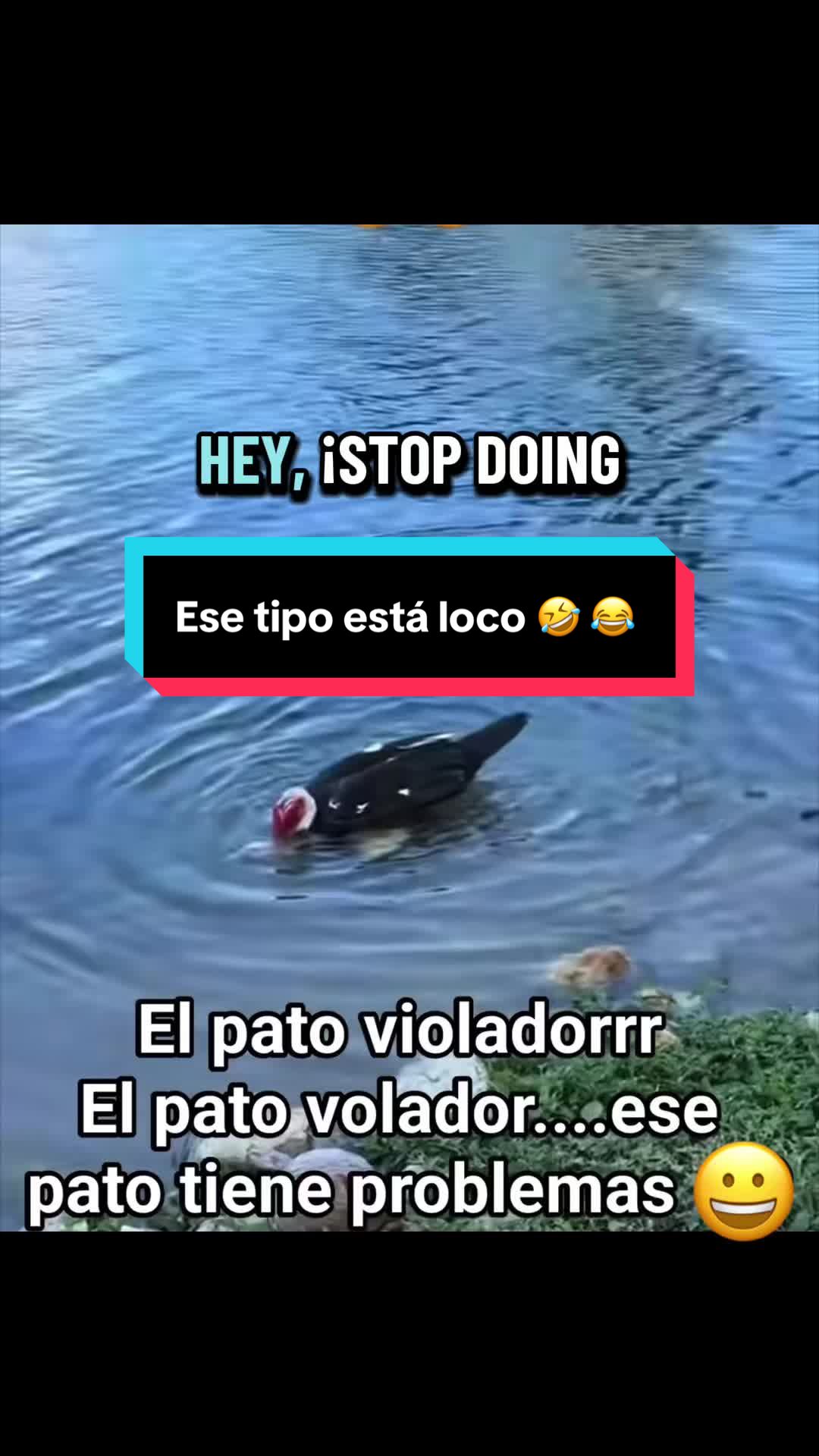 @De todo