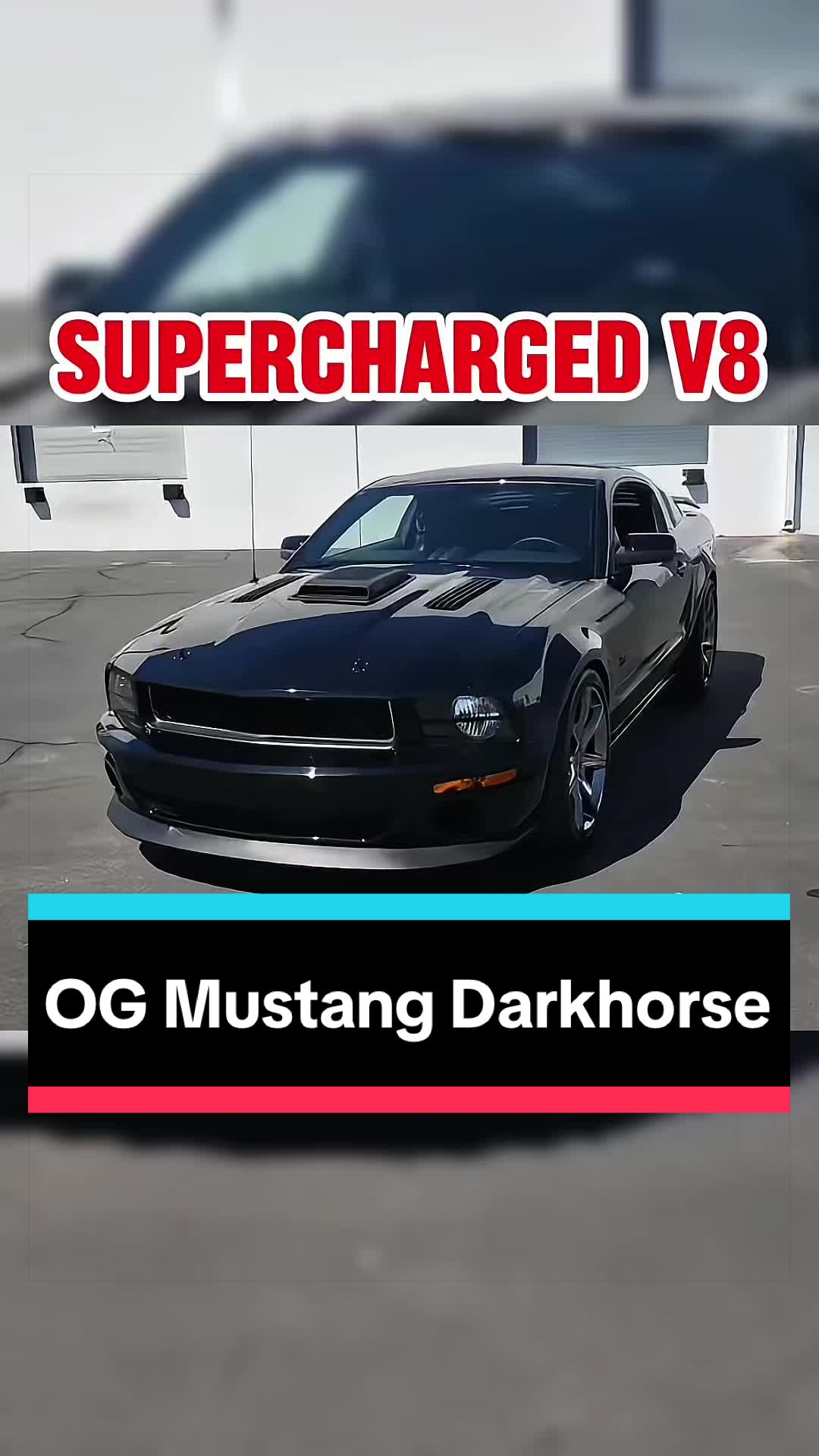@TorqueHub🚘