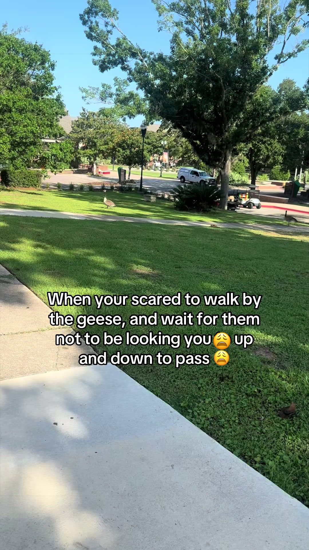 @treasegirl