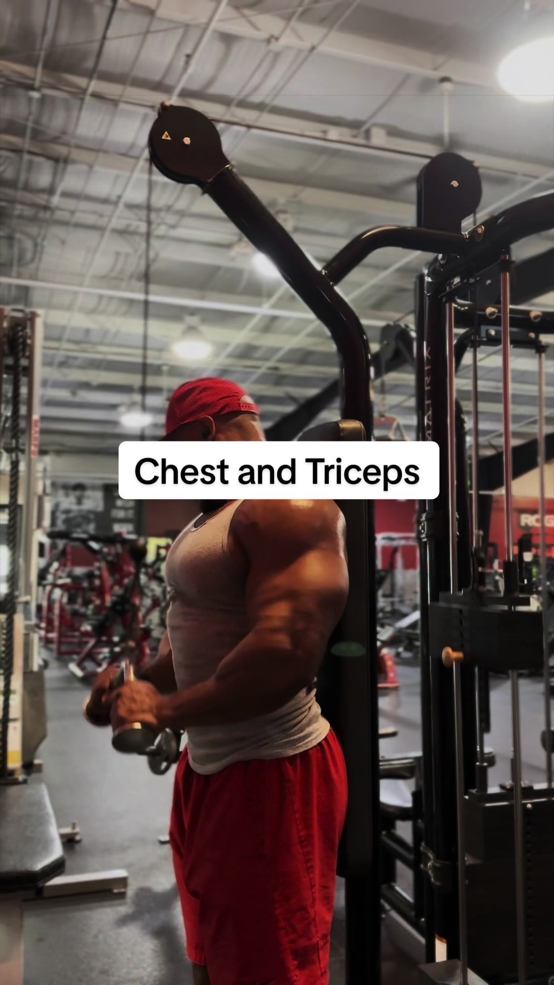 @Campus Muscle
