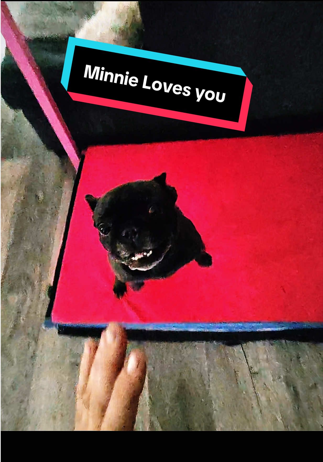 @minniecantalk
