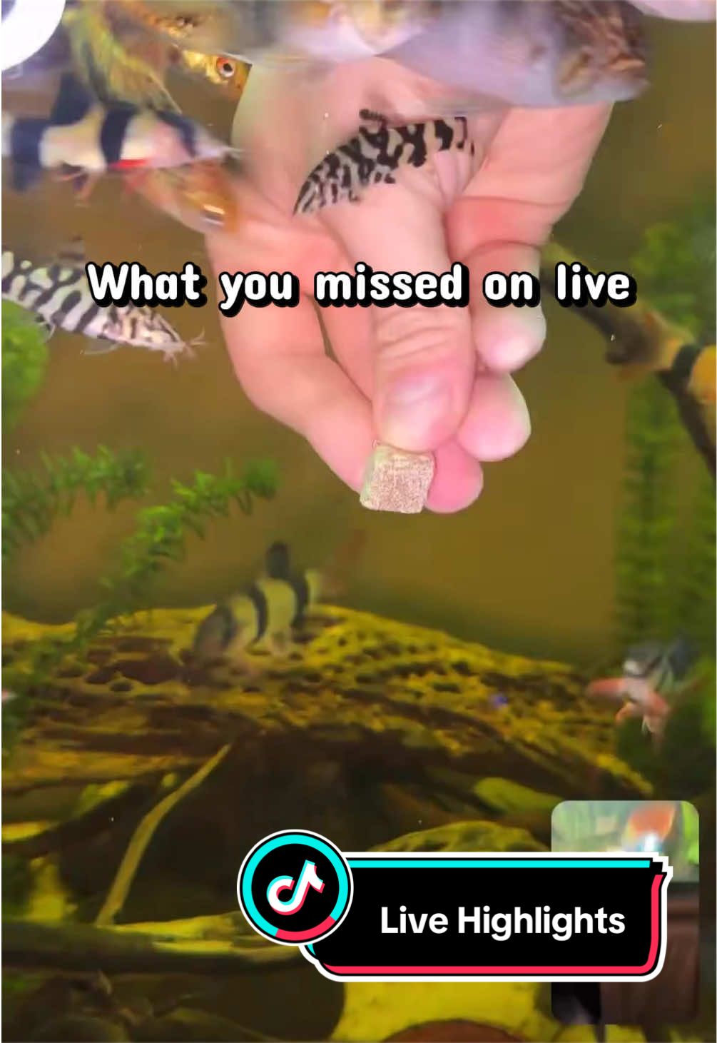 @Fishy