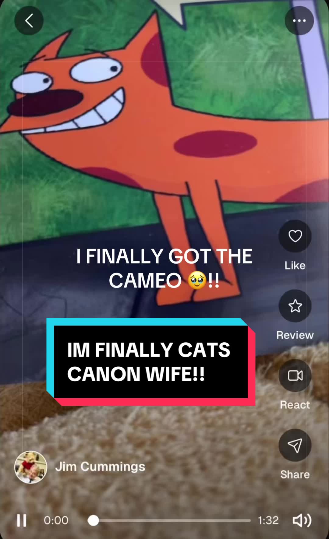 @Mrs Dottie Caticus ♥️