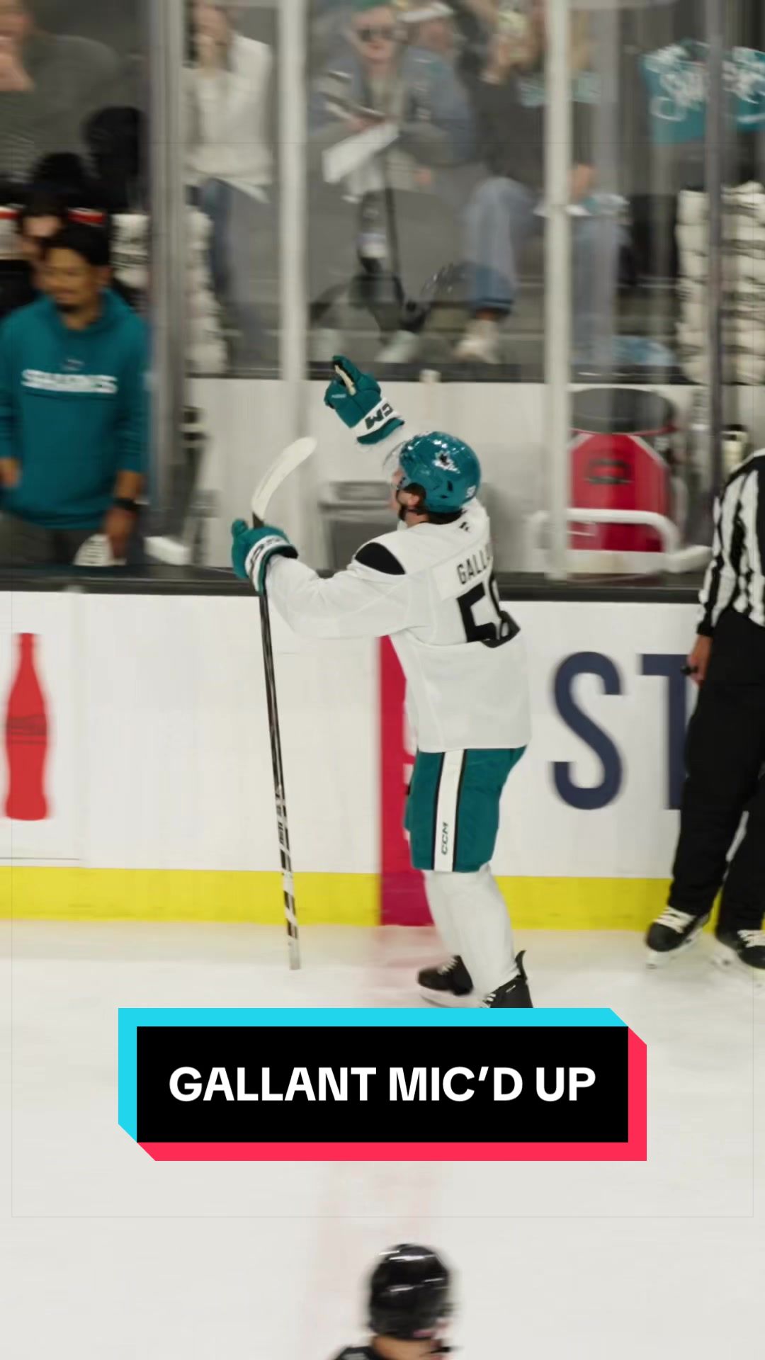 @San Jose Sharks