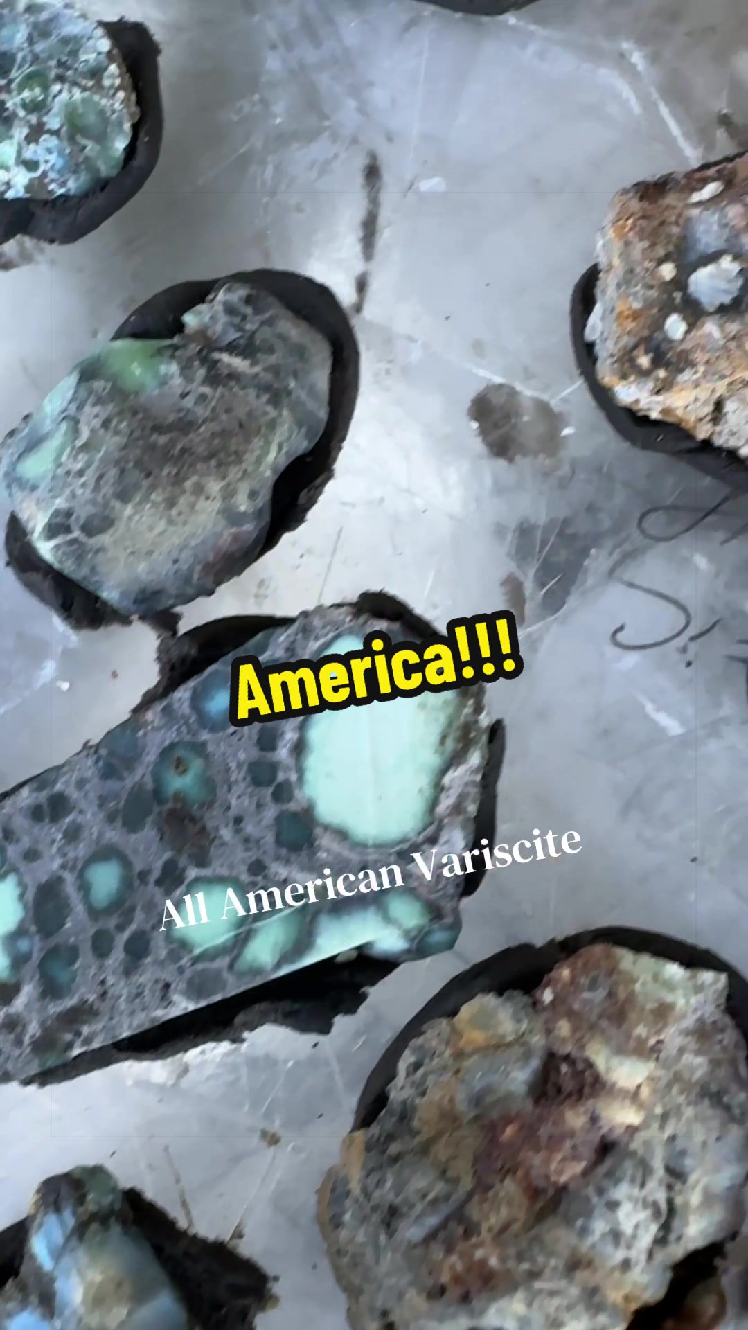 @Erika Martenson
