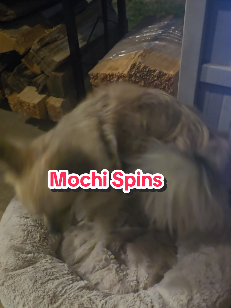 @The Dog Mom