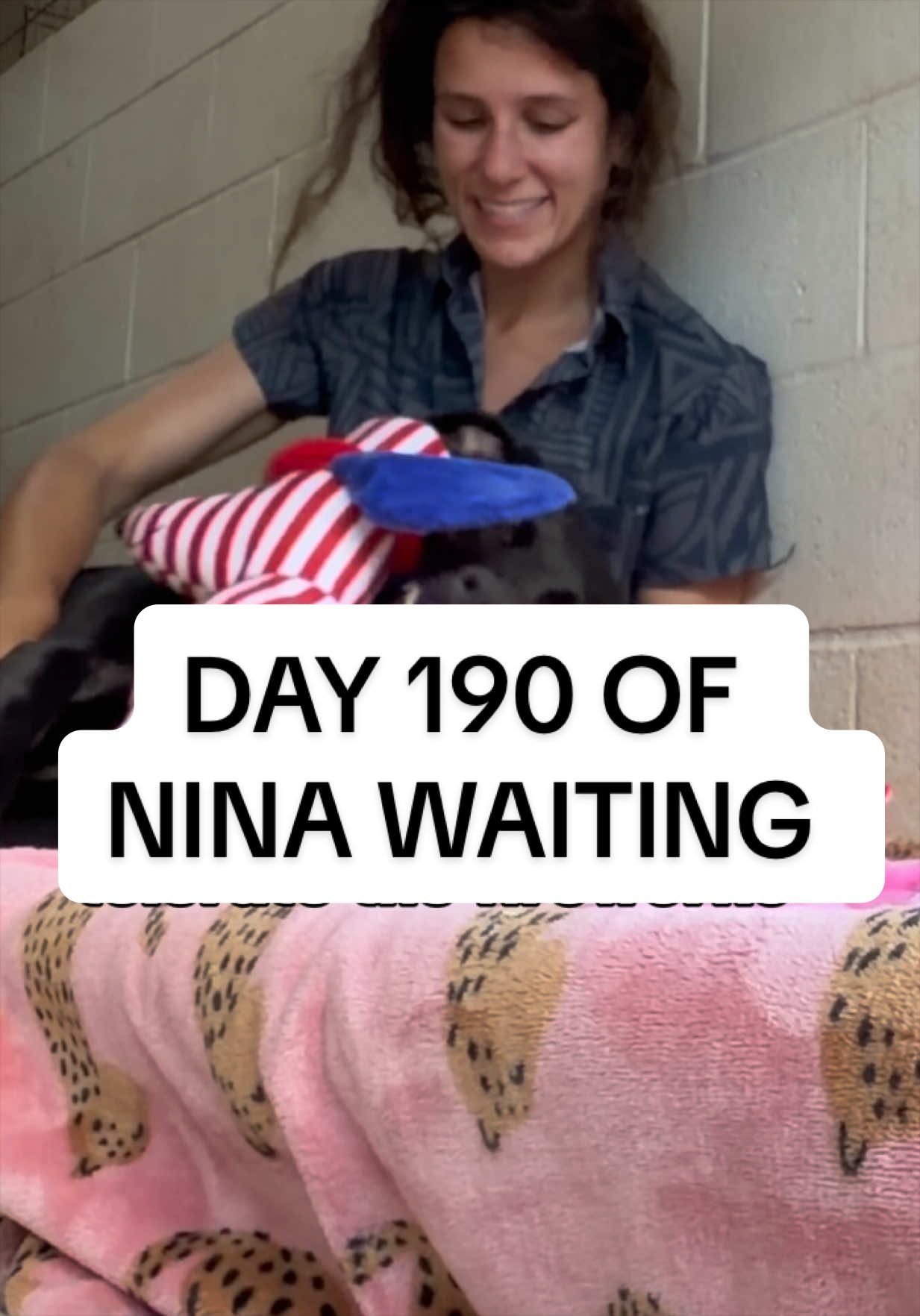 @Cassondra | Maui Shelter Dogs